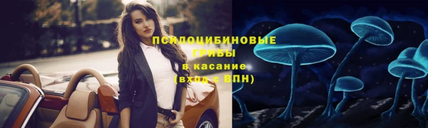 Альфа ПВП Нязепетровск