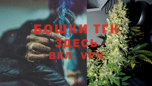 хмурый Новозыбков