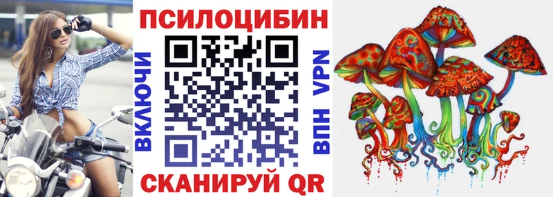 Галлюциногенные грибы GOLDEN TEACHER  где купить наркотик  Усть-Кут 